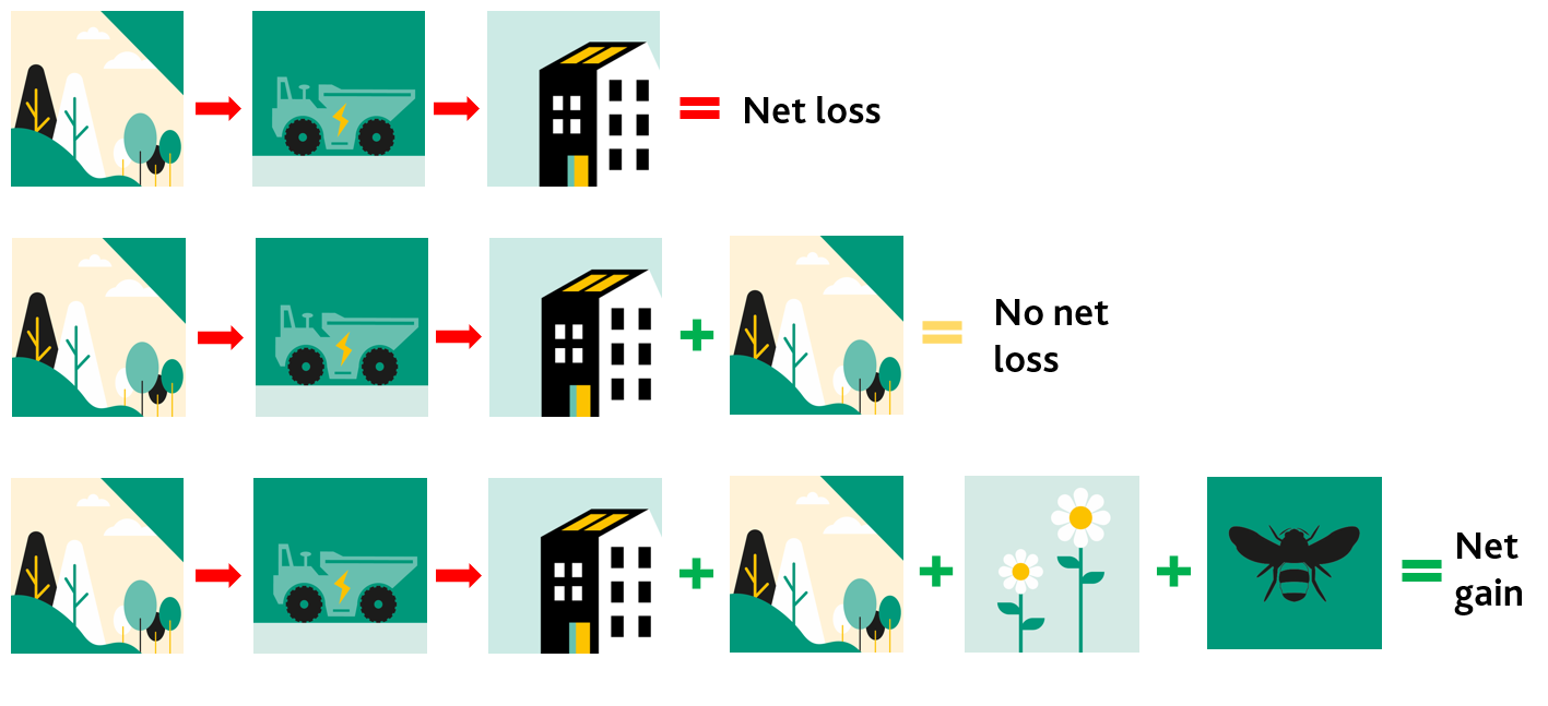 Net gain graphic.PNG