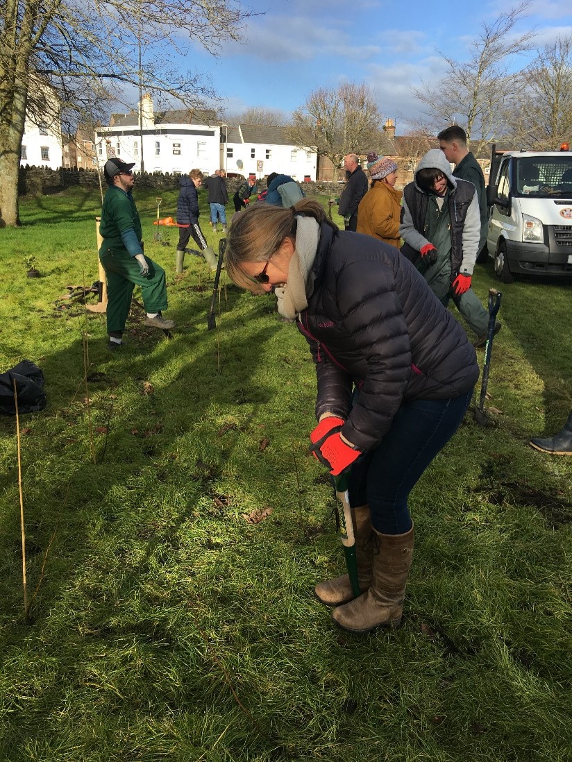 Central South tree planting.jpg