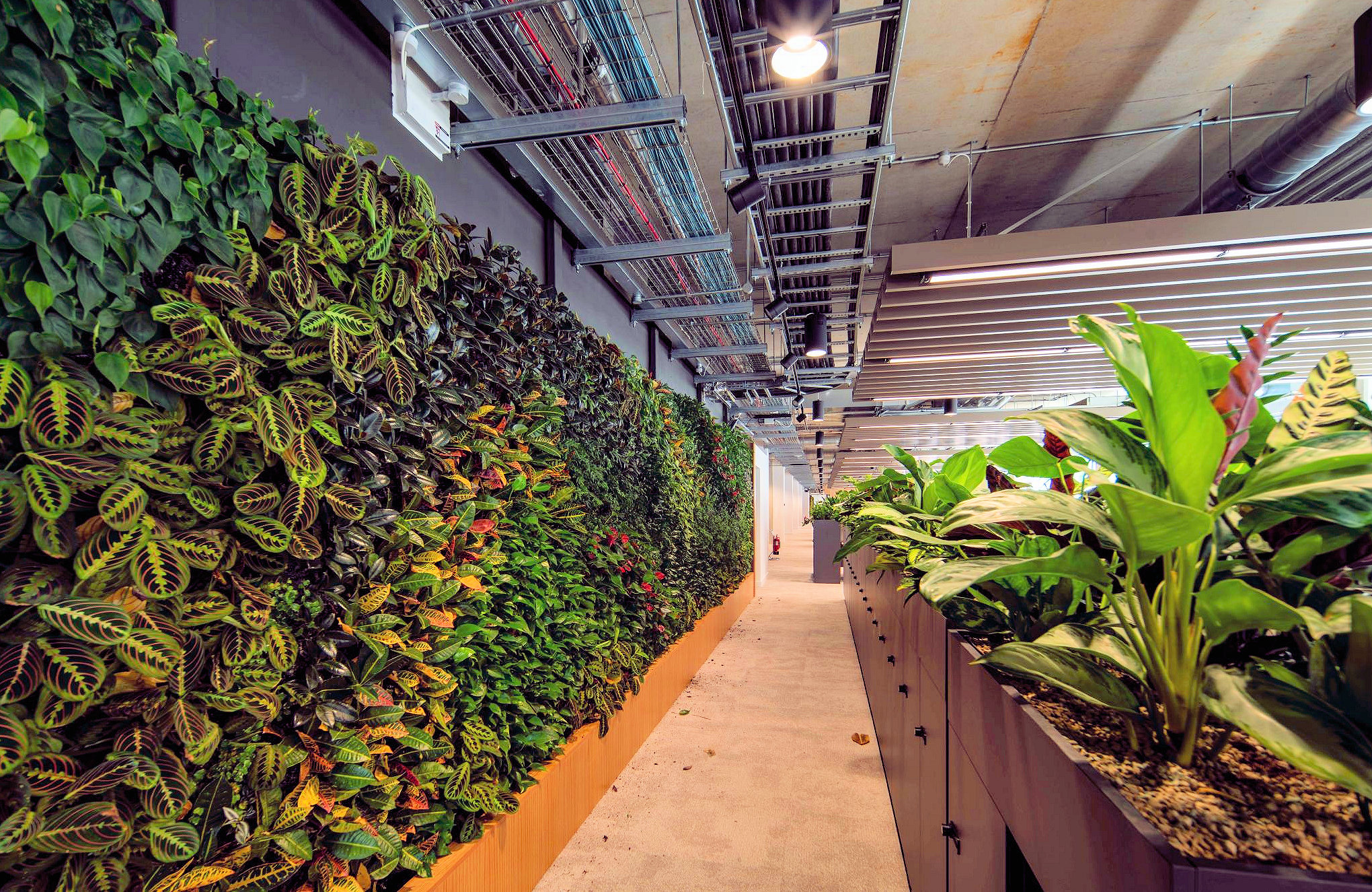 Greenheys-July2026- greenery.jpg